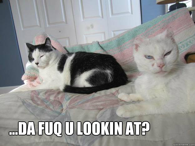 da fuq u lookin at -