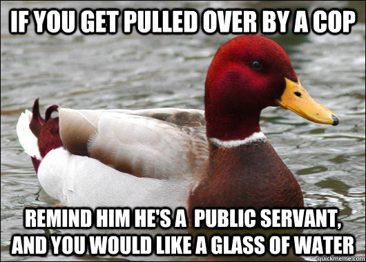 if you get pulled over by a cop remind him hes a public se - Malicious Advice Mallard