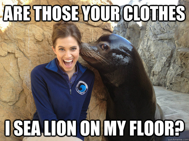 are those your clothes i sea lion on my floor - Crazy Secret