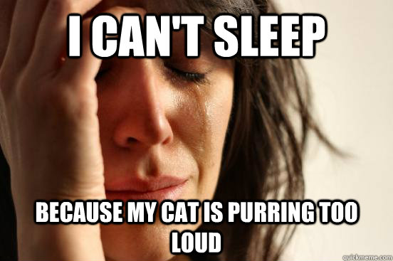 i cant sleep because my cat is purring too loud - First World Problems