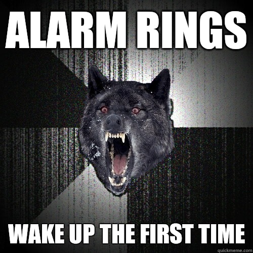 Alarm rings kick wall - Insanity Wolf