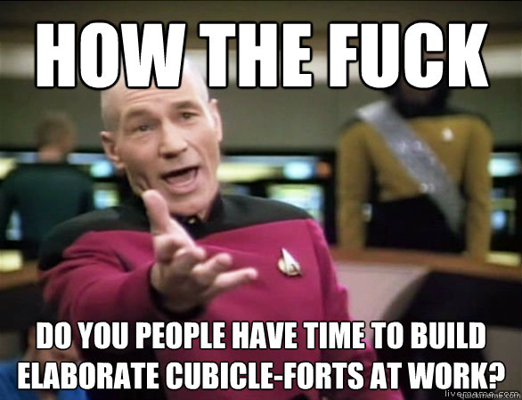 how the fuck do you people have time to build elaborate cubi - Annoyed Picard HD