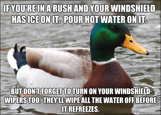 if youre in a rush and your windshield has ice on it pour - Actual Advice Mallard