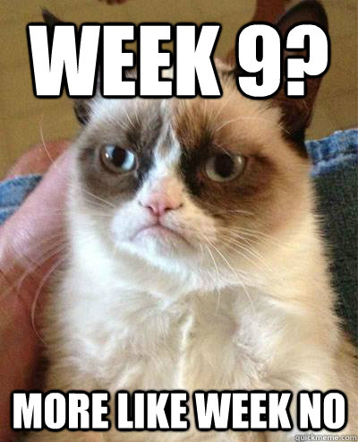 week 9 more like week no - Week 9 Angry Cat