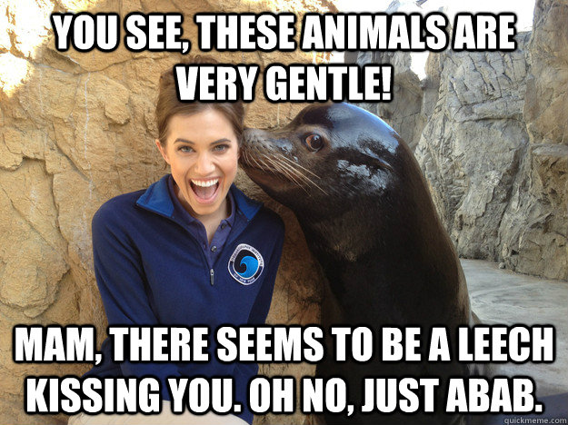 you see these animals are very gentle mam there seems to  - Crazy Secret