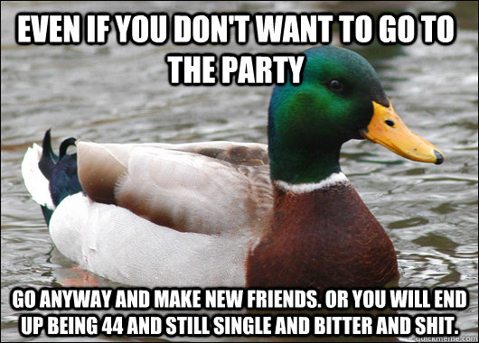 even if you dont want to go to the party go anyway and make - Actual Advice Mallard