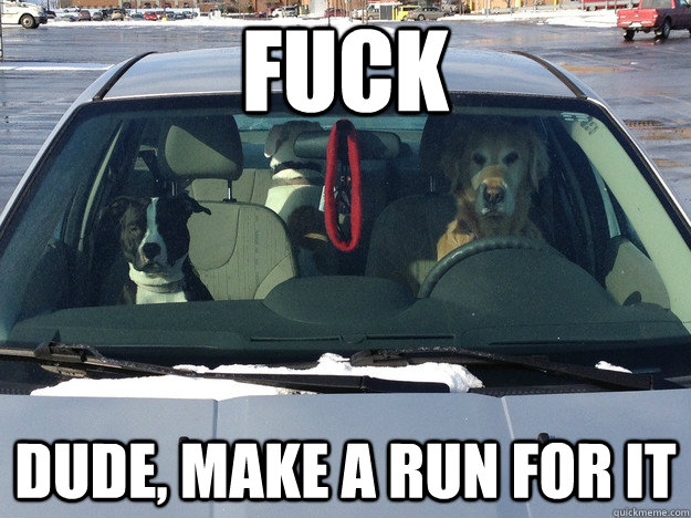 fuck dude make a run for it -