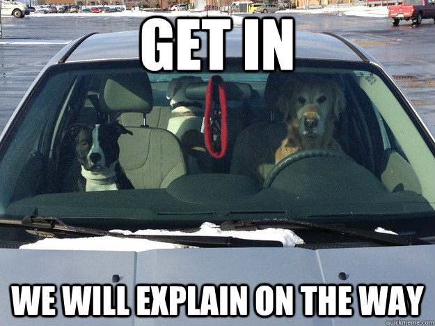 get in we will explain on the way -