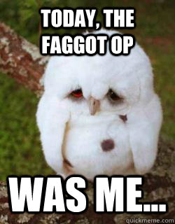 today the faggot op was me - Sad Owl