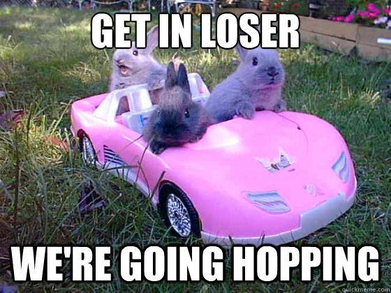 get in loser were going hopping - Mean Bunnies