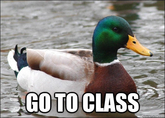 go to class - Actual Advice Mallard