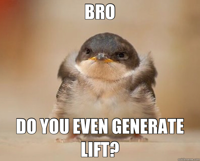 BRO DO YOU EVEN GENERATE LIFT? - bro