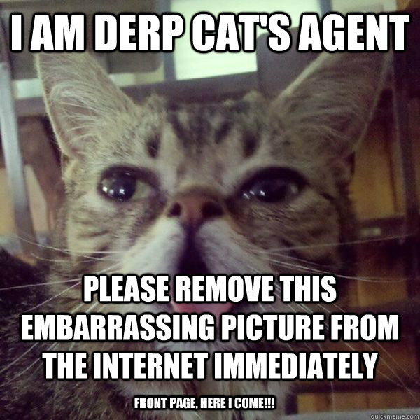 i am derp cats agent please remove this embarrassing pictur - DerpCat
