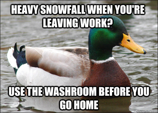 heavy snowfall when youre leaving work use the washroom be - Actual Advice Mallard