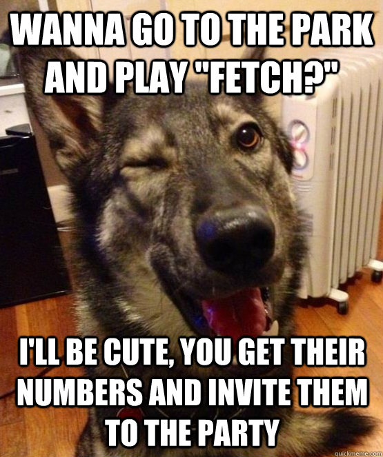 wanna go to the park and play fetch ill be cute you get - Pickup Pup