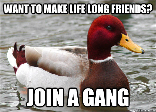 want to make life long friends join a gang - Malicious Advice Mallard