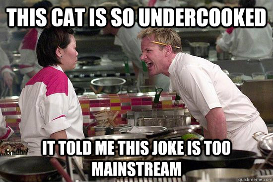 this cat is so undercooked it told me this joke is too mains -
