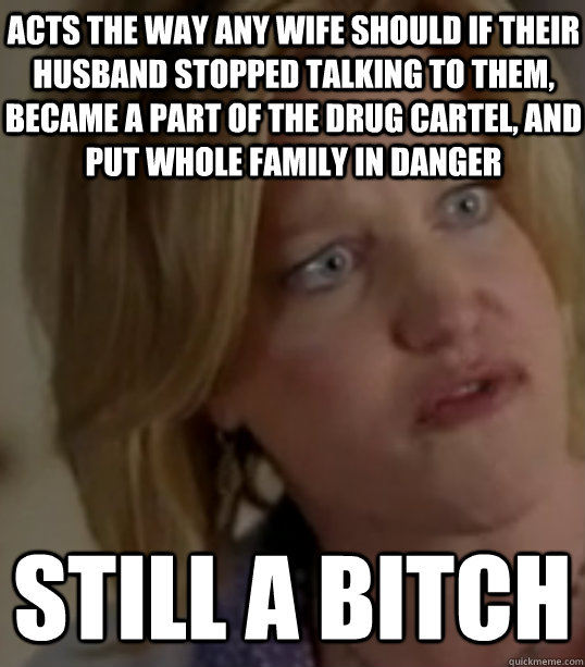 acts the way any wife should if their husband stopped talkin - Breaking Bad Skylar