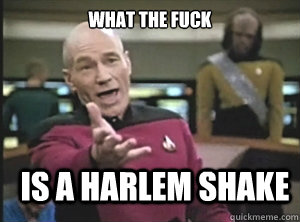 what the fuck is a harlem shake - Annoyed Picard