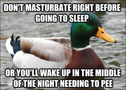 dont masturbate right before going to sleep or youll wake - Actual Advice Mallard