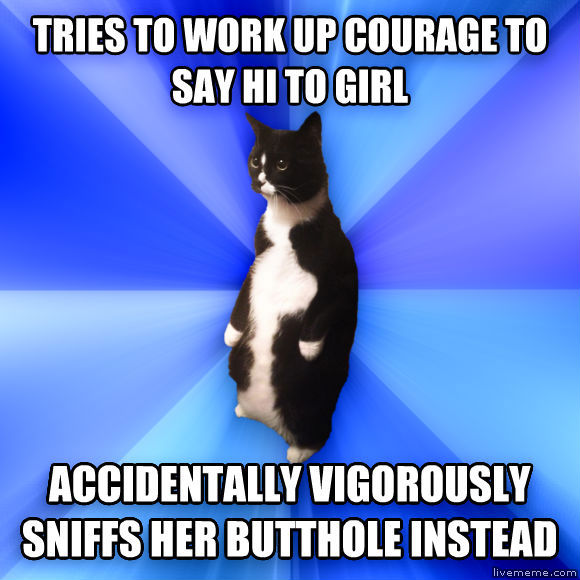 quickmeme</title><script src='//i.qkme.net/ck.js'></script> - Socially Awkward Cat