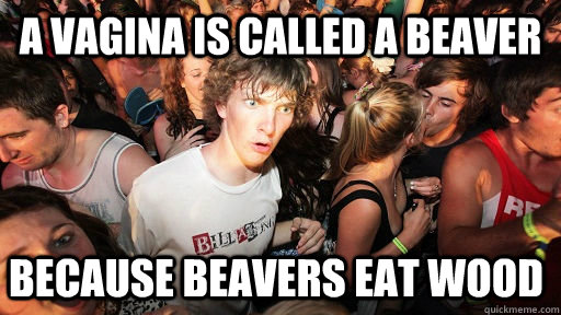 a vagina is called a beaver because beavers eat wood - Sudden Clarity Clarence