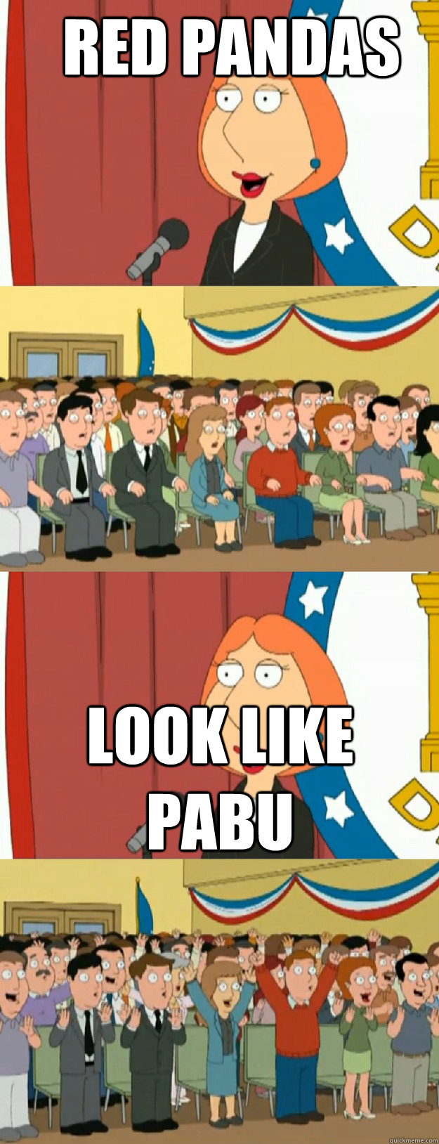 red pandas look like pabu - Lois Griffin
