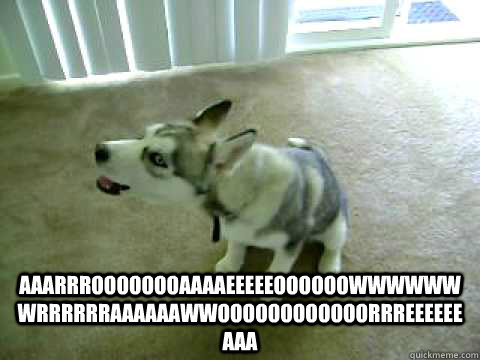 aaarrroooooooaaaaeeeeeoooooowwwwwwwrrrrrraaaaaawwooooooooooo -