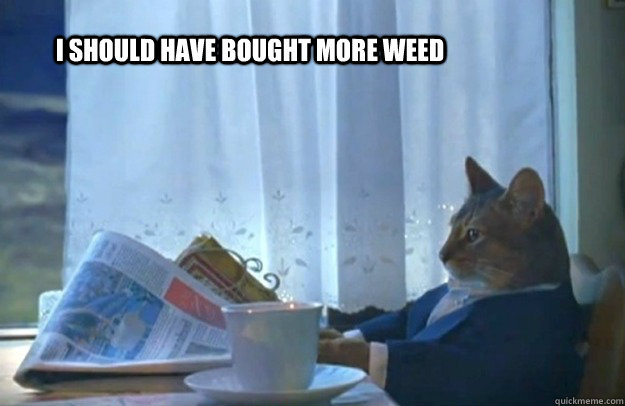 i should have bought more weed - Sophisticated Cat