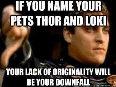 if you name your pets thor and loki your lack of originality - Downvoting Roman