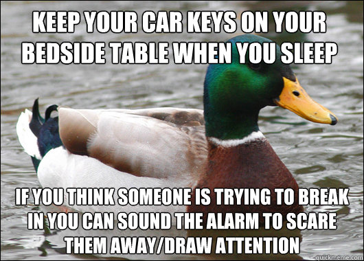 keep your car keys on your bedside table when you sleep if y - Actual Advice Mallard