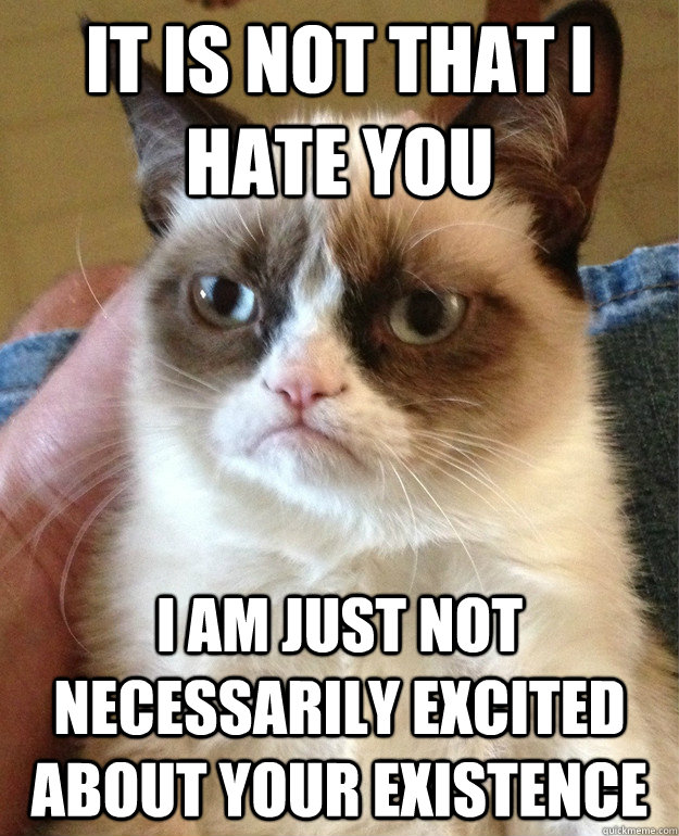 it is not that i hate you i am just not necessarily excited - Grumpy cat
