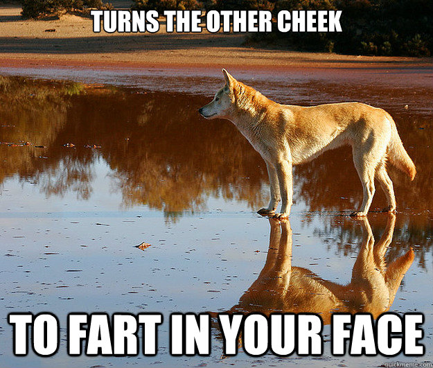 turns the other cheek to fart in your face - Dickhead Divine Dingo