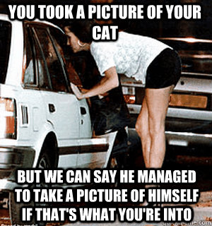 you took a picture of your cat but we can say he managed to - Karma Whore
