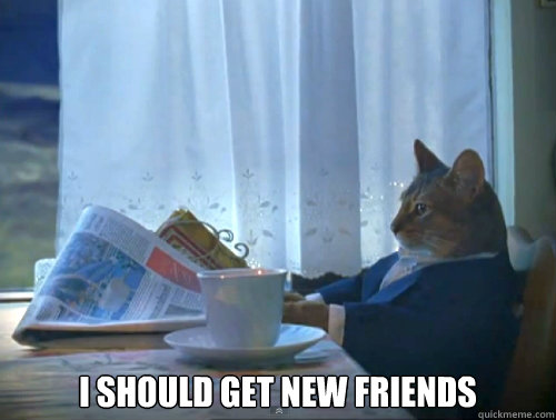i should get new friends - The One Percent Cat
