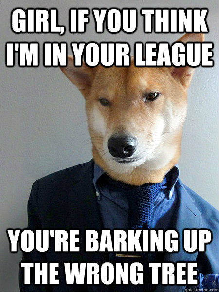 girl if you think im in your league youre barking up the -