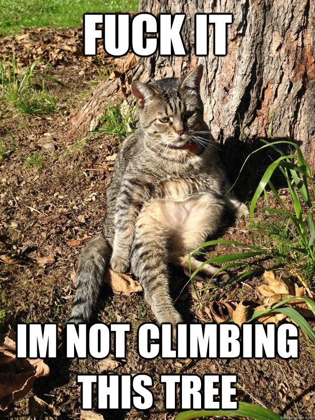 fuck it im not climbing this tree - 