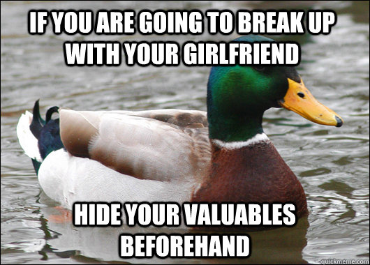 if you are going to break up with your girlfriend hide your - Actual Advice Mallard