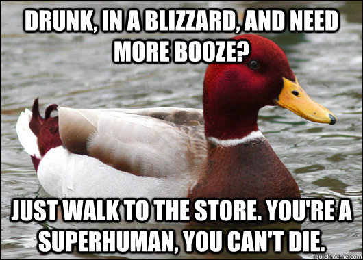 drunk in a blizzard and need more booze just walk to the - Malicious Advice Mallard
