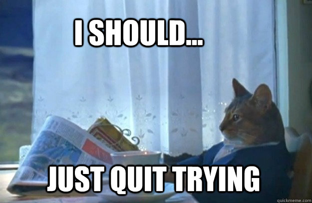 i should just quit trying - Sophisticated Cat