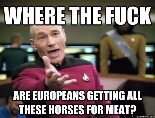 where the fuck are europeans getting all these horses for me - Annoyed Picard HD