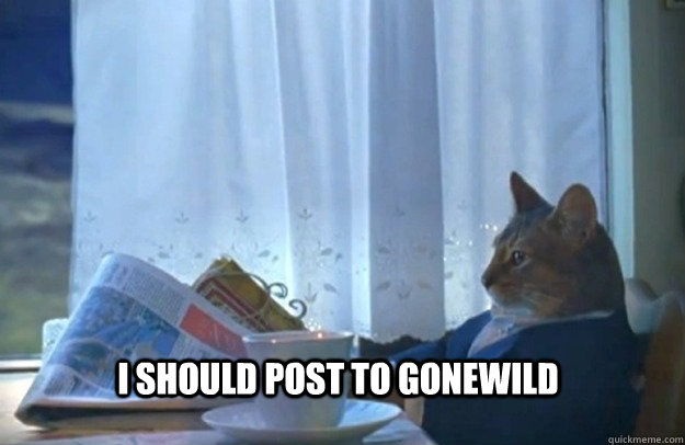 i should post to gonewild - Sophisticated Cat