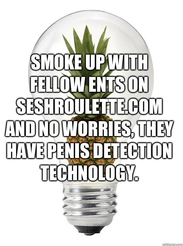 Smoke up with fellow ents on seshroulettecom and no worries - High Idea