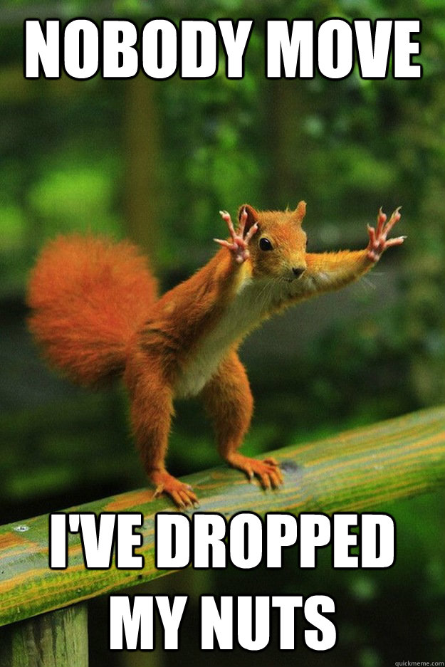 nobody move ive dropped my nuts -