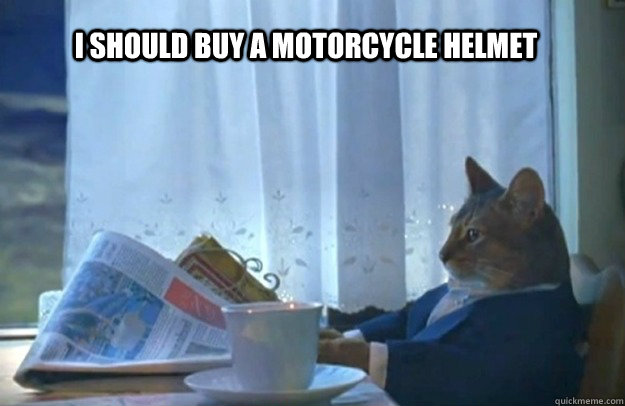 i should buy a motorcycle helmet - Sophisticated Cat