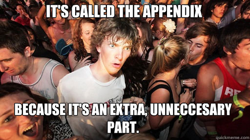 its called the appendix because its an extra unneccesary - Sudden Clarity Clarence