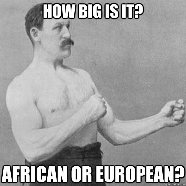 how big is it african or european - overly manly man
