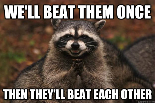 well beat them once then theyll beat each other - Evil Plotting Raccoon