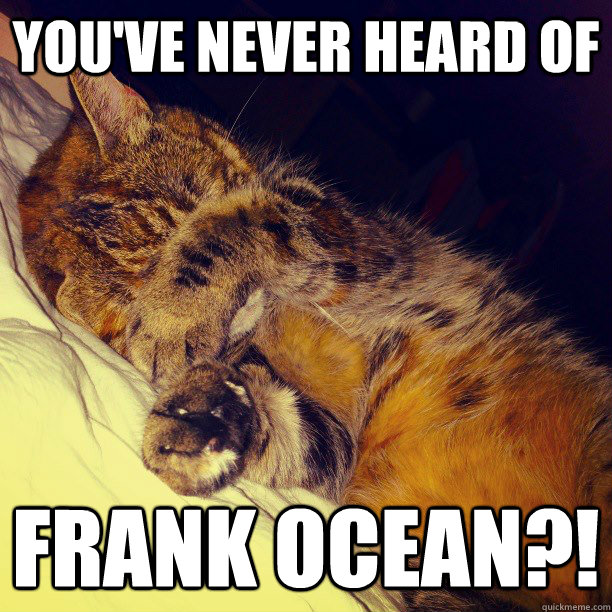 youve never heard of frank ocean - Frustration Cat