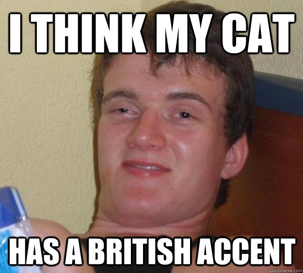 i think my cat has a british accent - 10 Guy